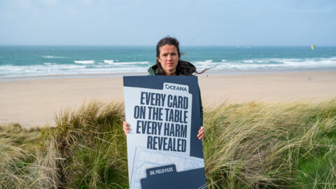 Marine havens under threat if govt ‘honours’ new oil fields